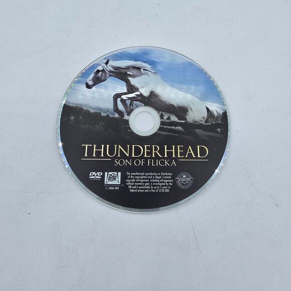 Thunderhead - Son Of Flicka (slimline case DVD, 2012) Kids Movie - Picture 3 of 5